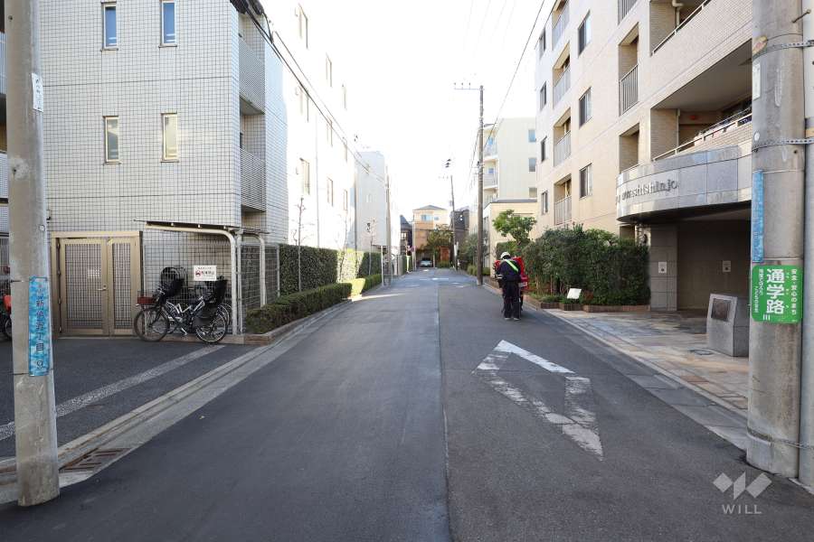 敷地東側の前面道路（北側から）