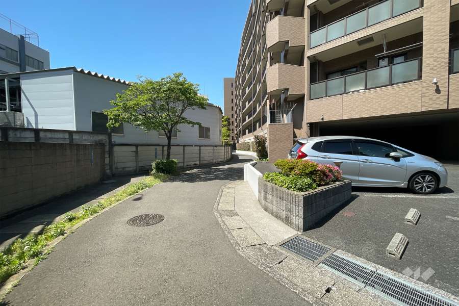 敷地東側の前面道路（南側から）