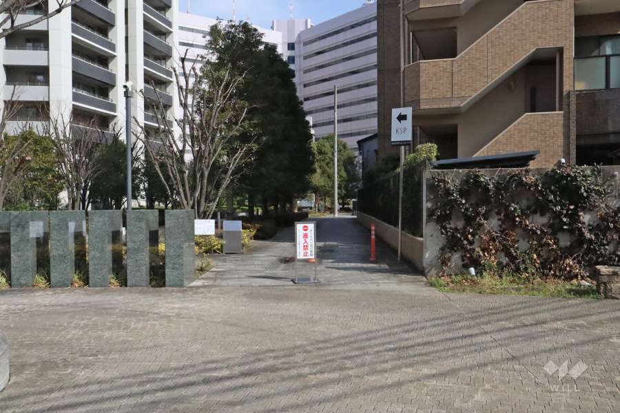 敷地南側の前面道路（東側から）