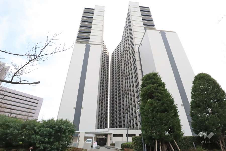 ザ・タワー＆パークス田園都市溝の口の外観(北側から)