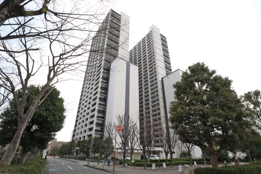 ザ・タワー＆パークス田園都市溝の口の外観(北東側から)