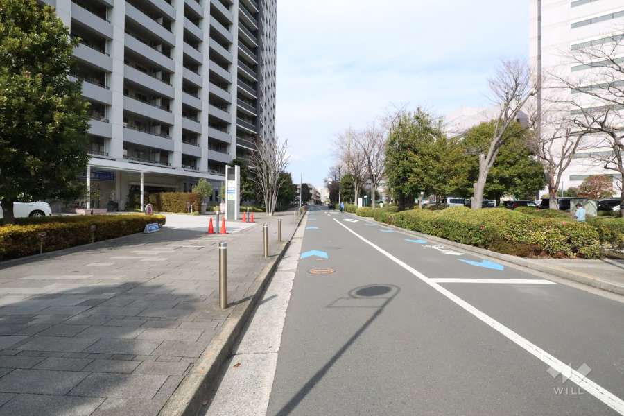 敷地東側の前面道路（南側から）