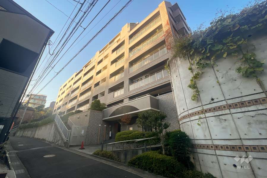 ジェイパーク溝の口ヒルズの外観（北東側から）