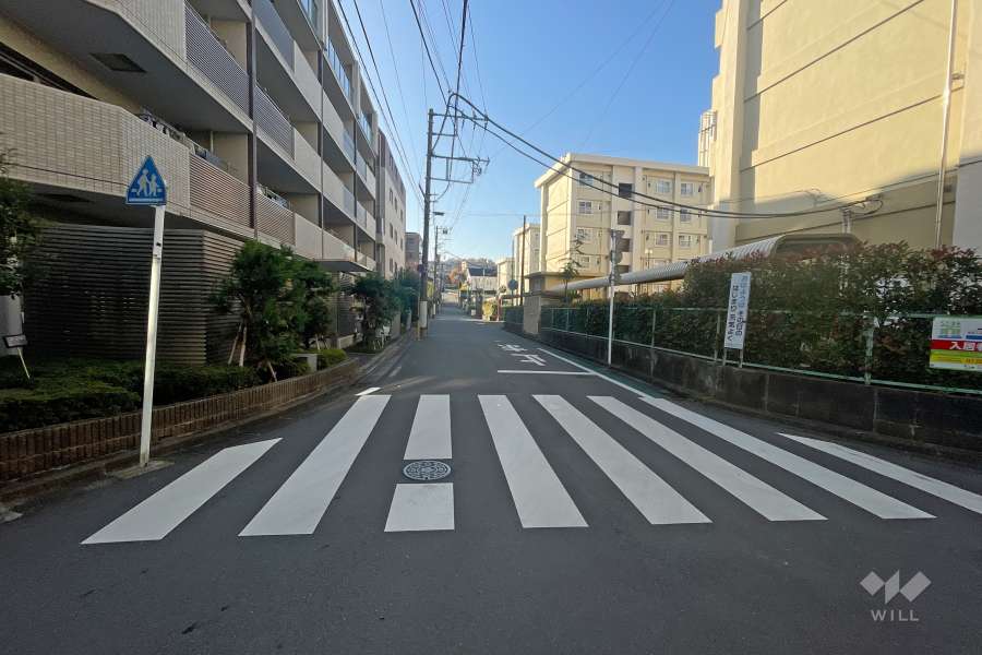 敷地の西側前面道路（北側から）