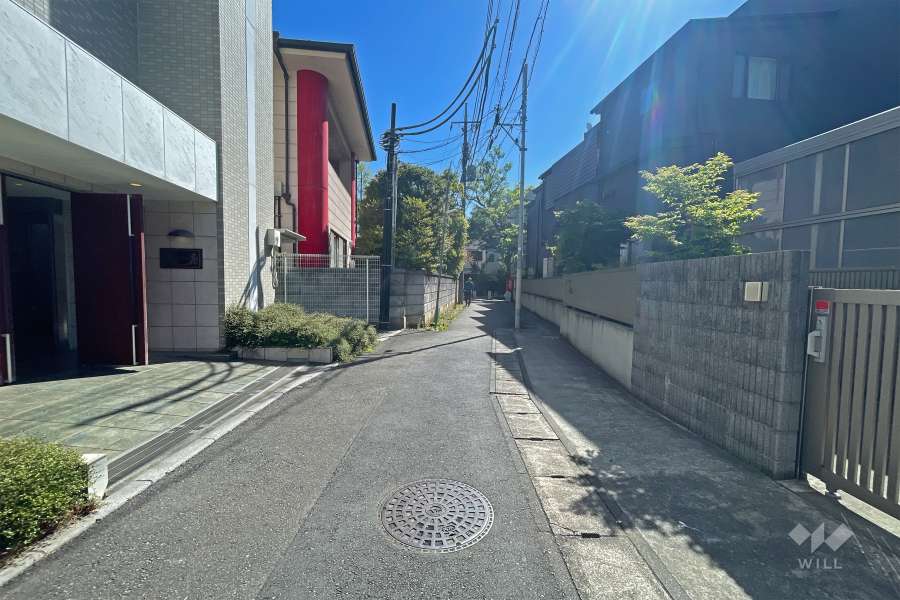 敷地南側の前面道路（西側から）