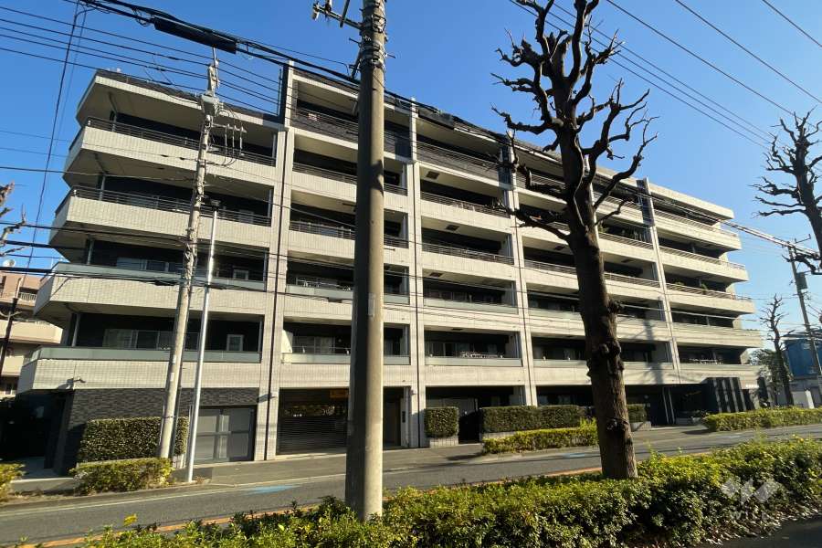 プレジール高津の外観（南西側から）