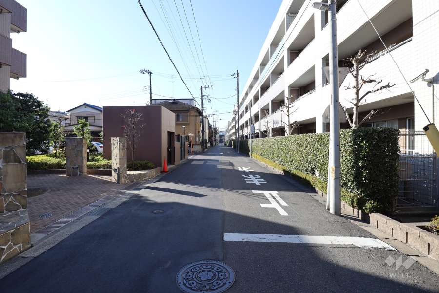 敷地の西側前面道路（南側から）