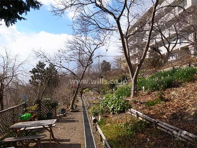 23棟の南側の敷地は花壇が整備されています。