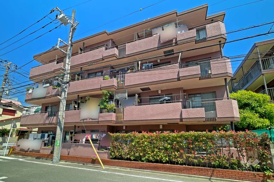 セザール第三武蔵新城の外観（南東側から）