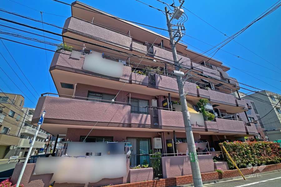 セザール第三武蔵新城の外観（南西側から）