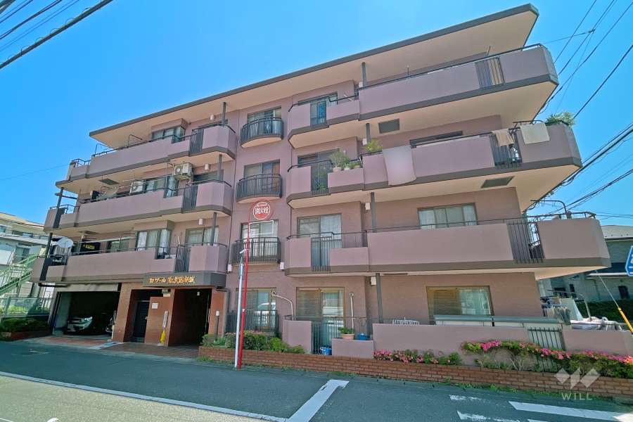 セザール第三武蔵新城の外観（南西側から）