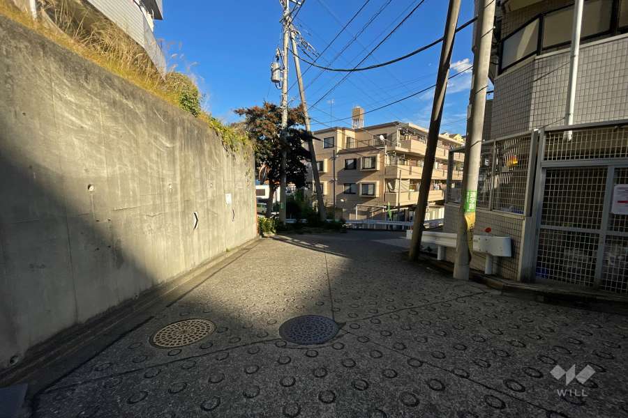 敷地南側の前面道路（西側から）