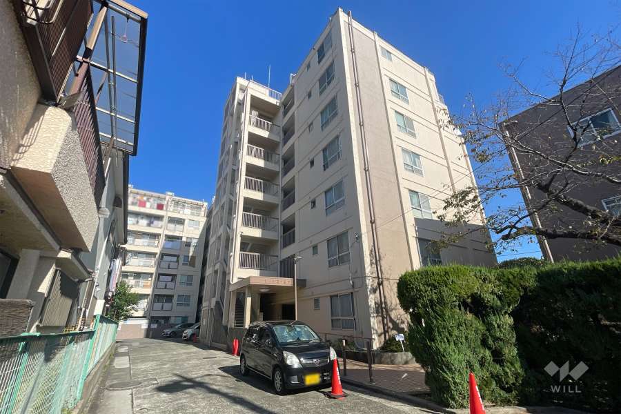 溝の口コーポラスの外観（南西側から）