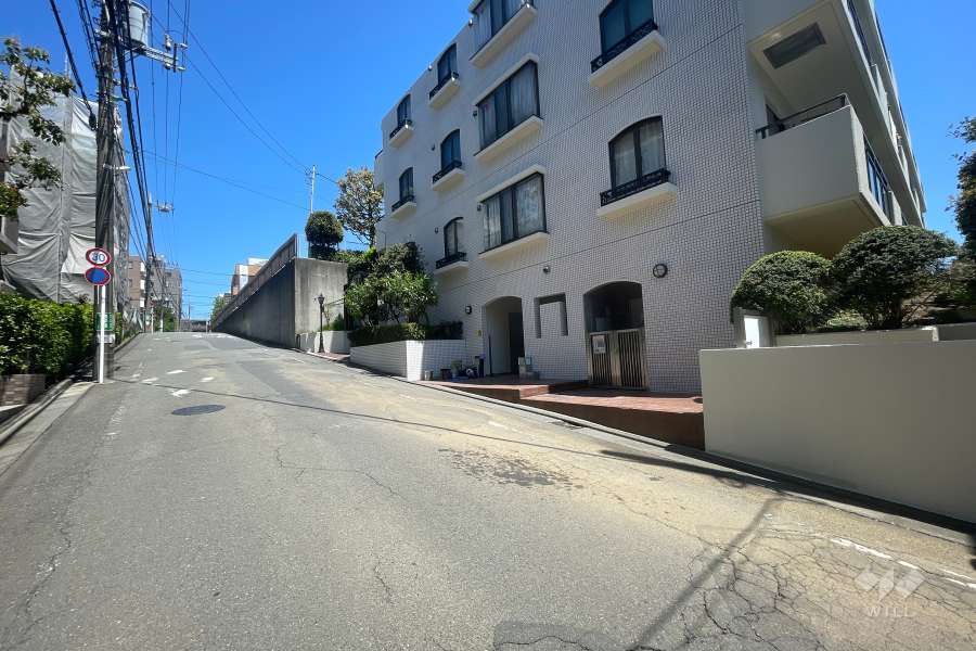 敷地西側の前面道路（南側から）