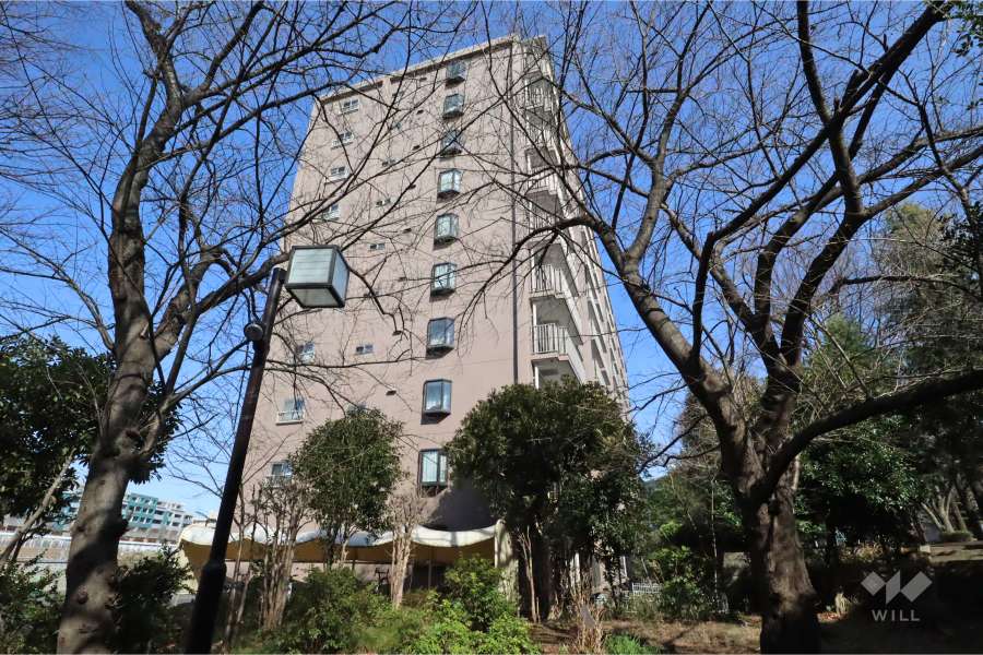 梶ヶ谷プラザビルの外観(南西側から)