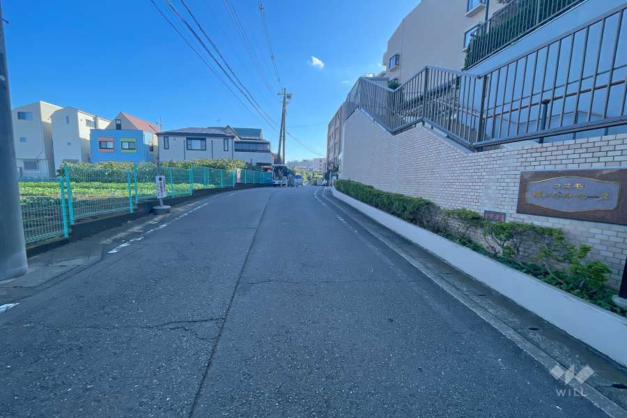 敷地北側の前面道路（西側から）