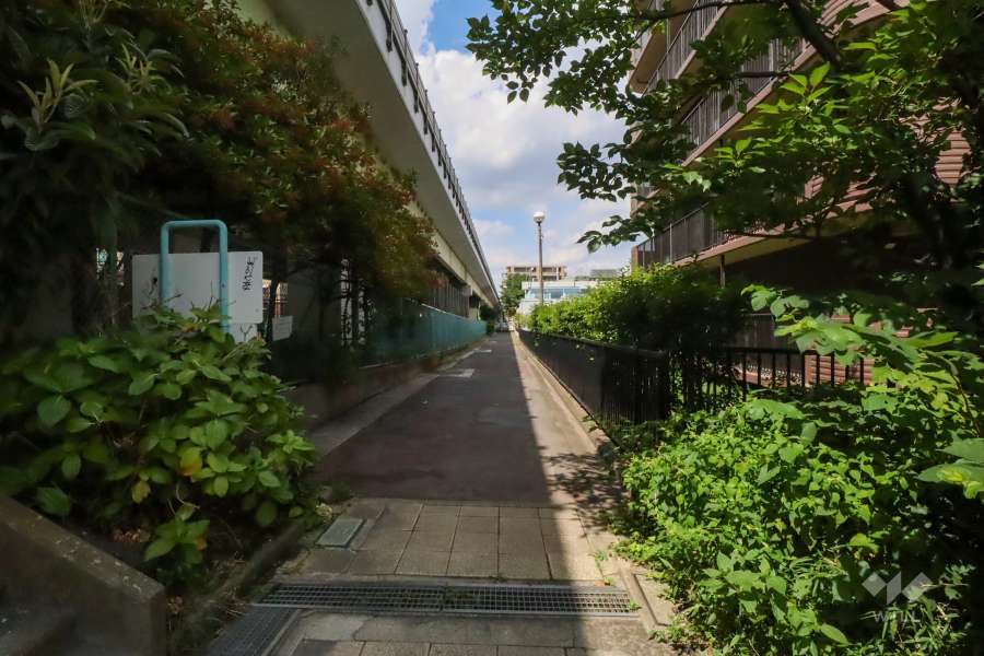 敷地西側の前面道路　