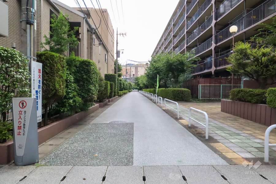 敷地東側の前面道路　