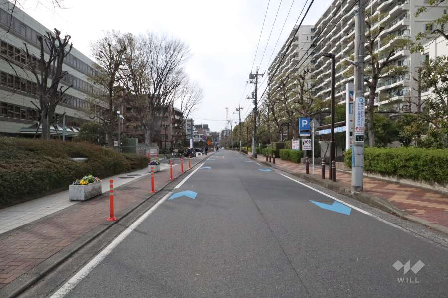 敷地南側の前面道路(東側から)