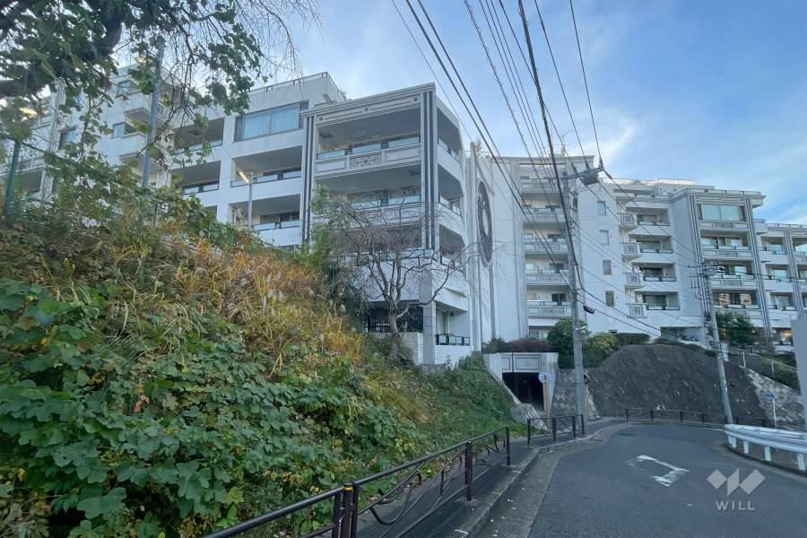 ロイヤルシーズン溝の口CASAの外観（北東側から）