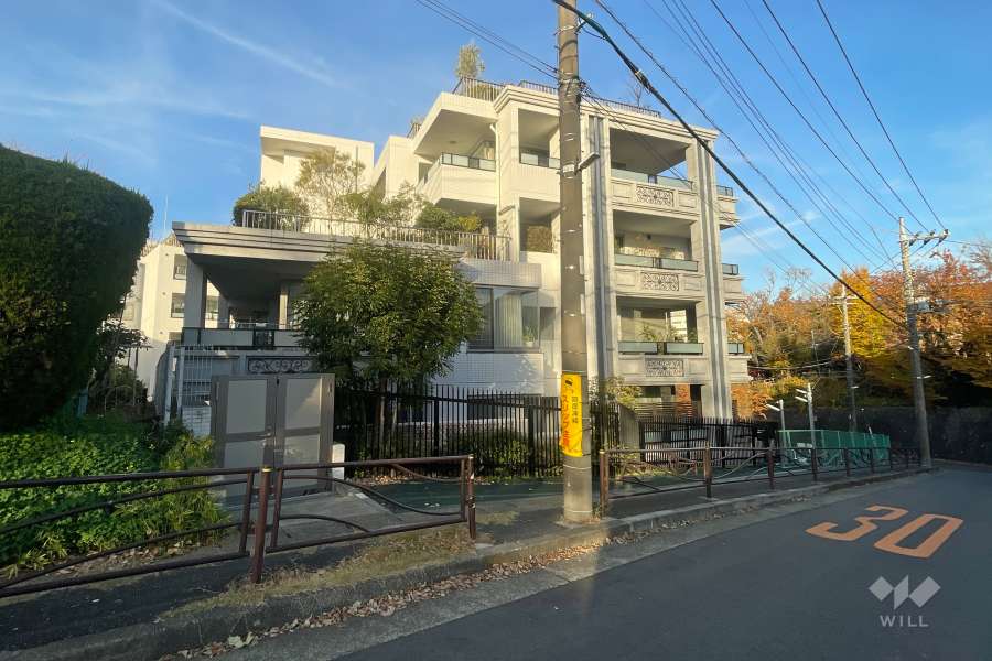 ロイヤルシーズン溝の口CASAの外観（南側から）