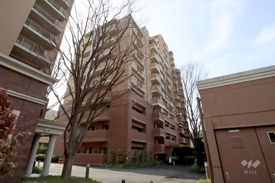 メイフェアパークス溝の口E棟の外観（北東側から）