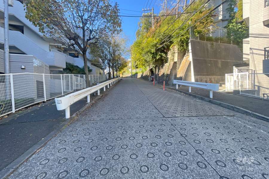 敷地北側の前面道路（東側から）