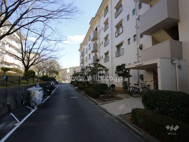 敷地北側の通路部分