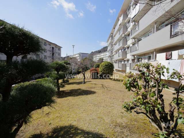 敷地南部分は庭になっています。