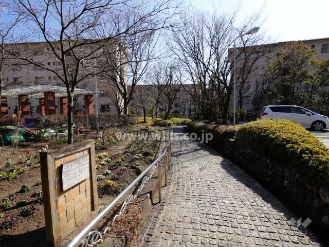 敷地東側の通路