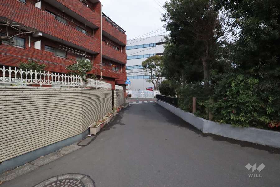 敷地北側の前面道路(西側から)