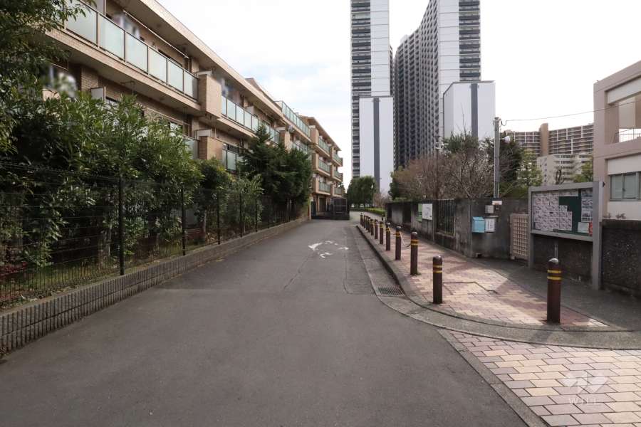 敷地西側の前面道路(北側から)