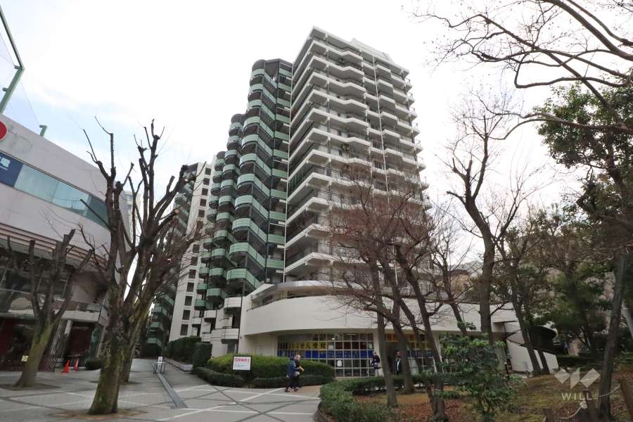 パークシティ溝の口A棟の外観(北東側から)