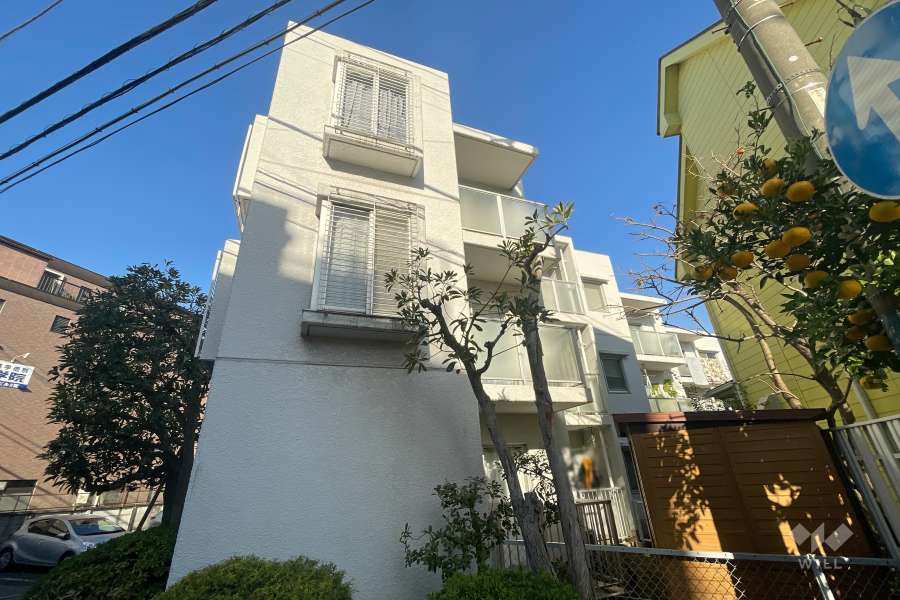 梶ヶ谷パークハイツの外観（南東側から）