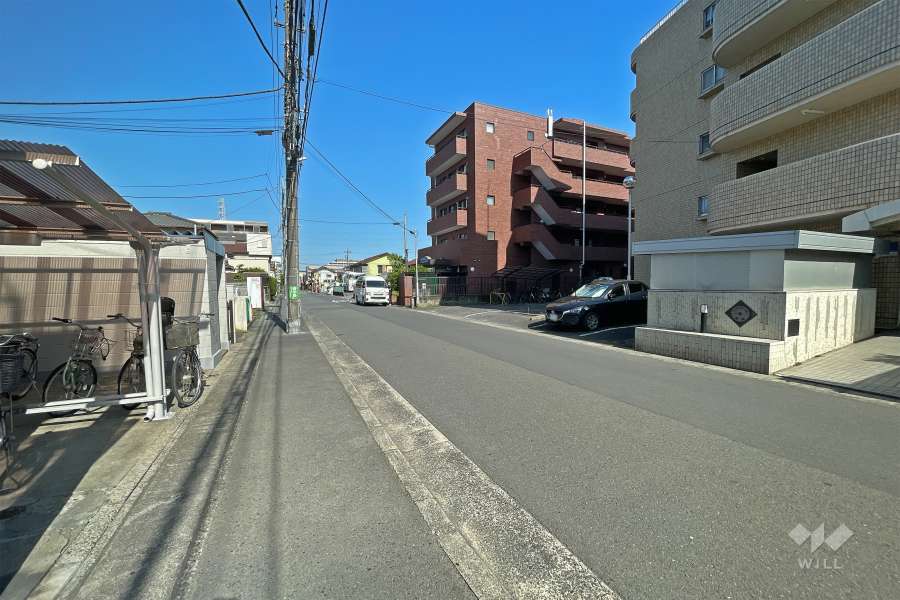 敷地南側の前面道路（西側から）
