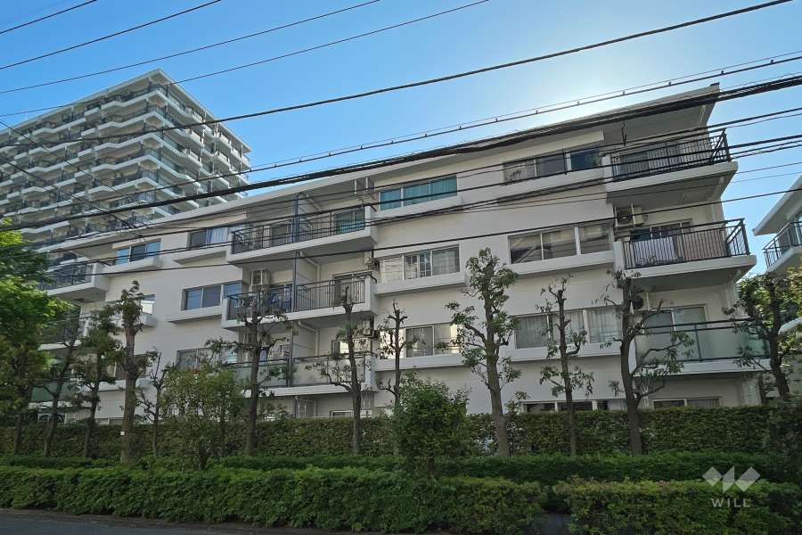 パークシティ溝の口I号棟の外観（南西側から）