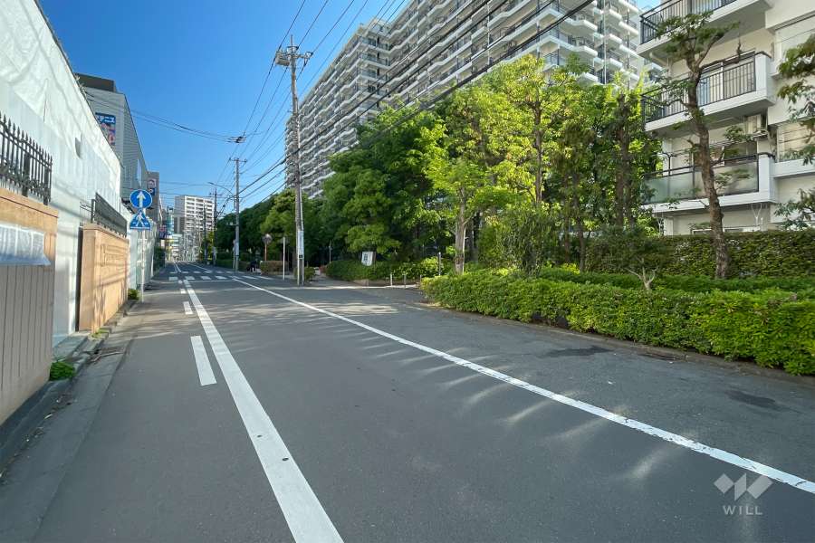 敷地西側の前面道路（南側から）