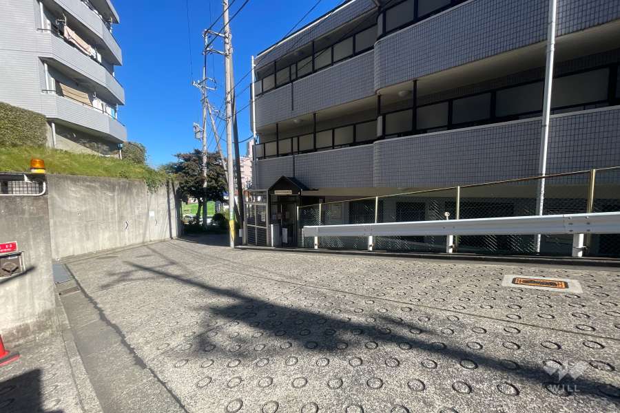 敷地西側の前面道路（南西側から）