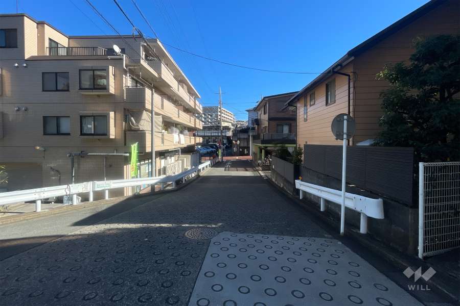 敷地北側の前面道路（西側から）