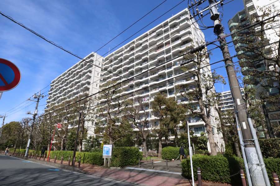 パークシティ溝の口E棟の外観(南東側から）