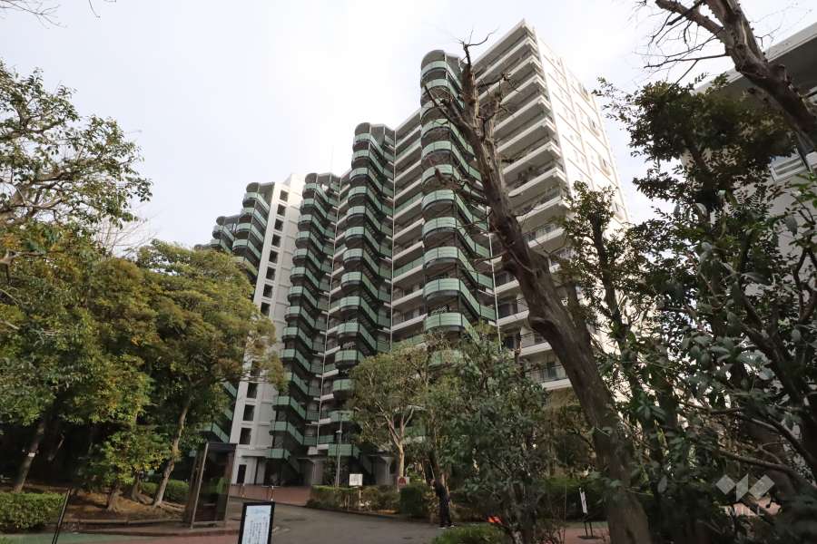 パークシティ溝の口E棟の外観(北西側から）