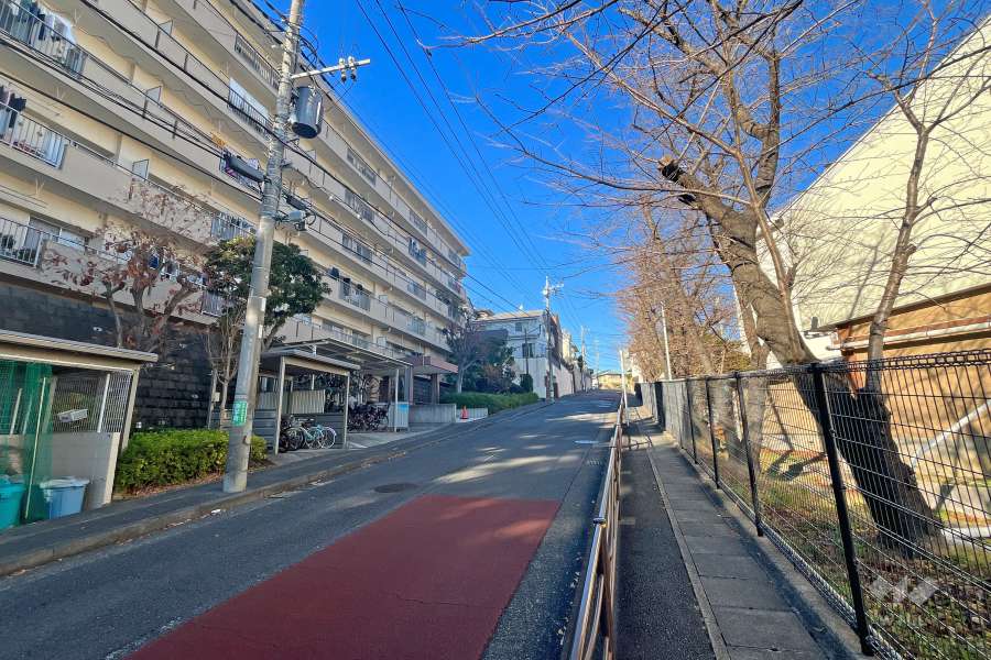 敷地東側の前面道路（南側から）