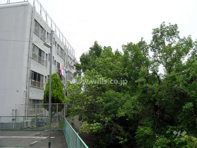 敷地の西側には池に面しています。