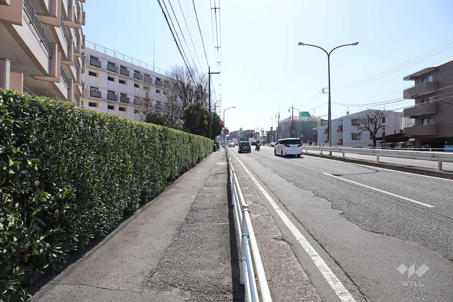 敷地西側の前面道路