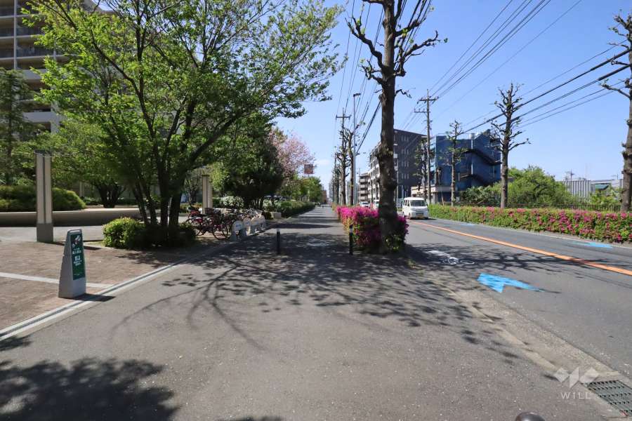 敷地北東側の前面道路