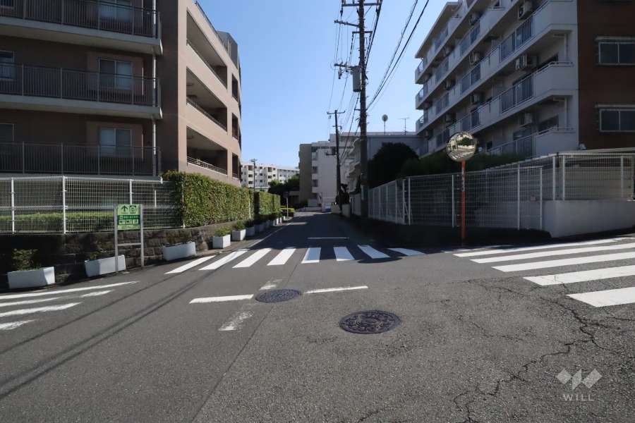 敷地東側の前面道路(北側から)