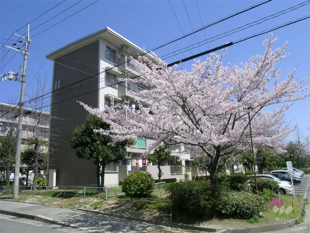 箕面粟生第２住宅11棟の外観（南西側から）