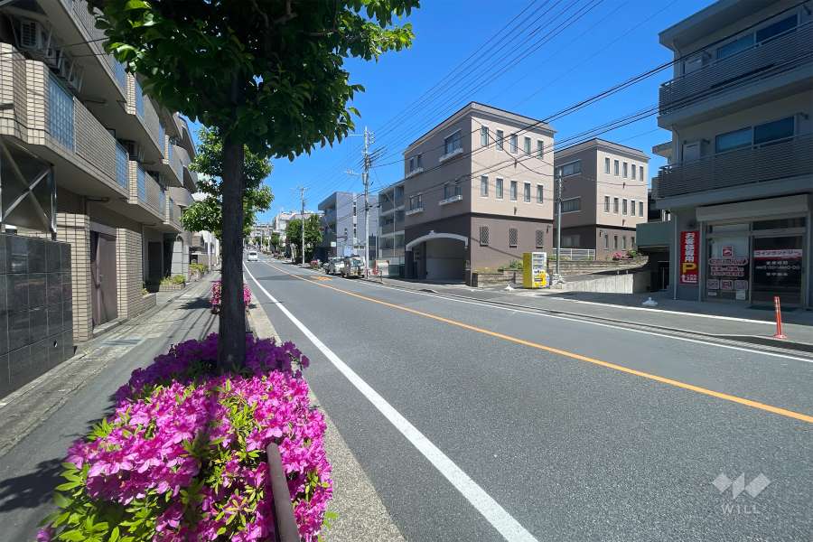 敷地東側の前面道路（南側から）