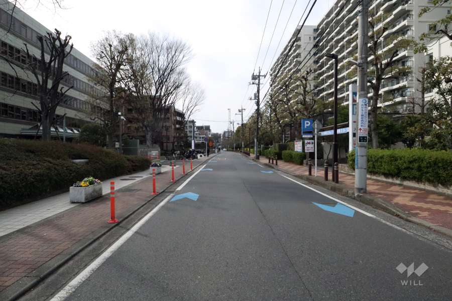 敷地南側の前面道路(西側から)
