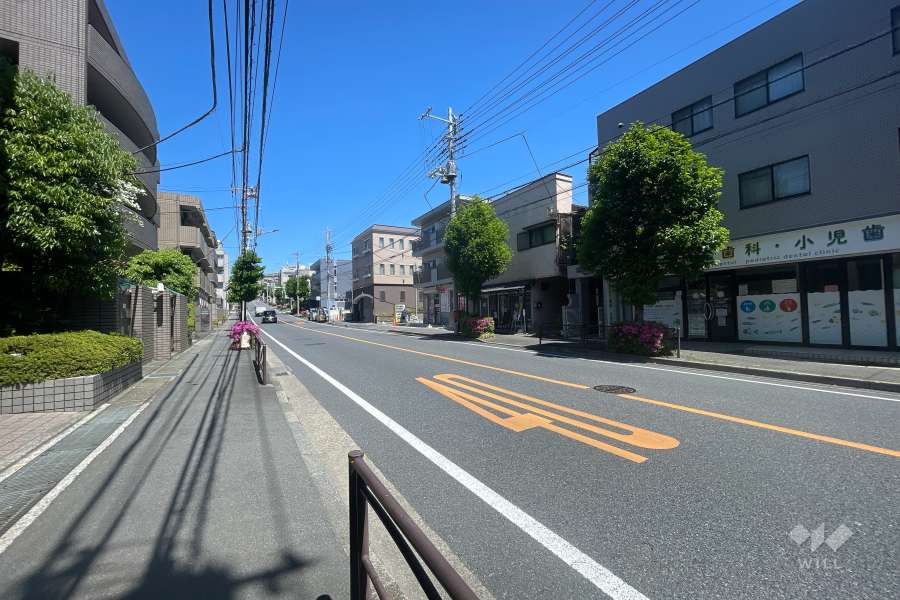 敷地東側の前面道路（南側から）